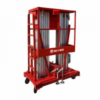 Двухмачтовый подъемник SKYER GTWY12-200 AC/DC HV Market