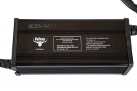 Зарядное устройство для свинцовых тяговых аккумуляторов 24V60AН (10A) Anderson HV Market