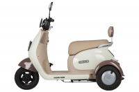 Электротрицикл Rutrike Gelbert Ogma 48V/60V 650Вт Белый HV Market