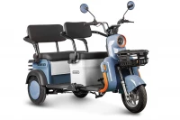 Электротрицикл Rutrike Gelbert Beta 48V/60V 800Вт Сине-белый HV Market