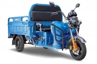 Грузовой электротрицикл Rutrike Гибрид 1500 60V1000W Синий HV Market