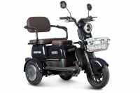 Электротрицикл Rutrike Gelbert Sun 48V/60V 650Вт Фиолетово-белый HV Market
