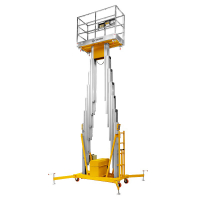 Подъемник мачтовый несамоходный GTWY 8-200S (T) (AC&DC; 200 кг; 8 м) SMARTLIFT HV Market