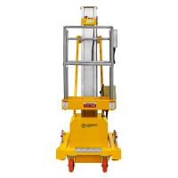 Подъемник мачтовый несамоходный GTWY 8-100 (T) (220В; 125 кг; 8 м) SMARTLIFT HV Market
